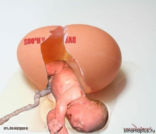 Яйца После Секса