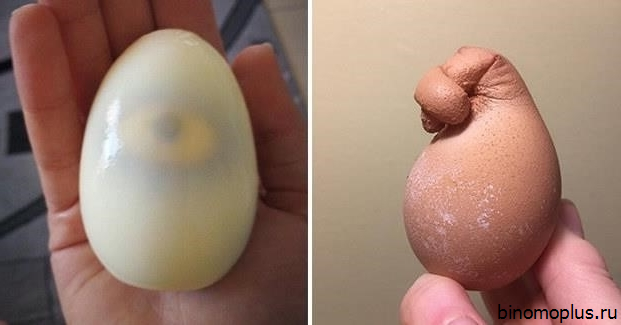 Яйца После Секса